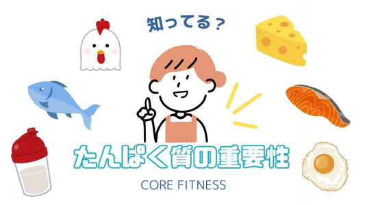 【一生使える】たんぱく質の常識